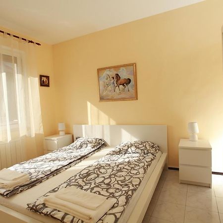 Мезонет Рая Apartment София Стая снимка